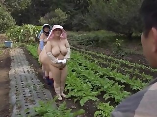 Asiatische bbw milfs ficken auf dem bauernhof